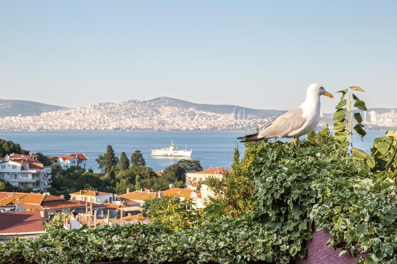 L'Isola Guesthouse (Adults Only) Χάλκη Εξωτερικό φωτογραφία
